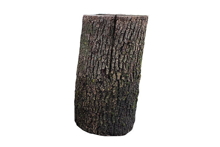 Stehender, eingeschnittener Baumstamm als Schwedenfeuer von Brennholz Herbst.